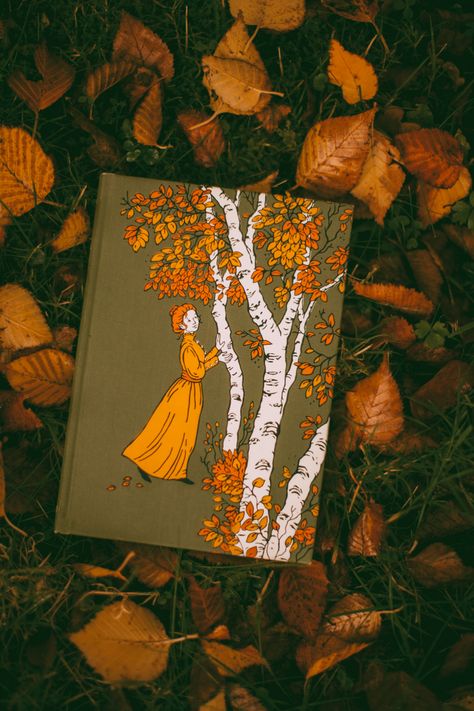 Anne Of Avonlea, A Clothes Horse, Autumn Illustration, Autumn Magic, Still Life Photos, Dress Cottagecore, Beautiful Book Covers, Cottagecore Dress, Beautiful Cover