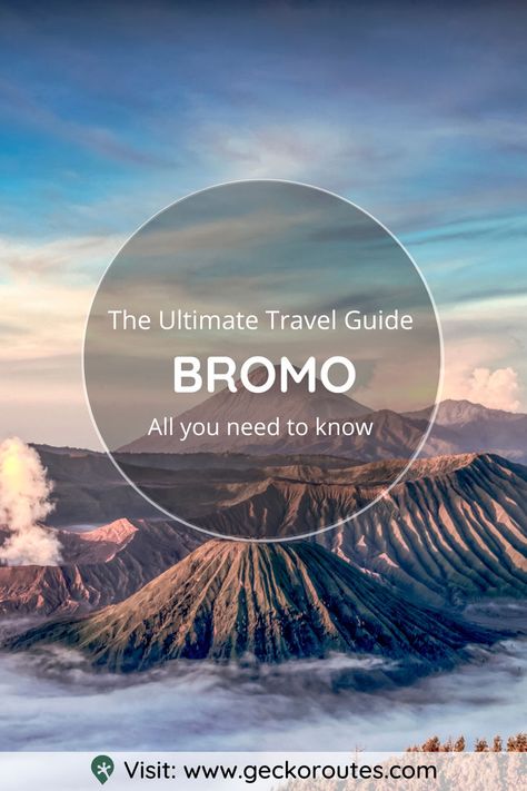 Visiting Mount Bromo in Indonesia is an experience that you’ll never forget, but it’s not the easiest to organise. There are several basecamps to leave from and so many tour companies, it’s hard to know what the right choice is. We’ve visited Mount Bromo ourselves and researched to save you time. Check out our guide to find out everything you need to know to visit Mount Bromo in Indonesia and decide which way is best for you! Mt Bromo, Mount Bromo, Early In The Morning, Base Camp, Malang, The Village, Scuba Diving, Save You, Where To Go