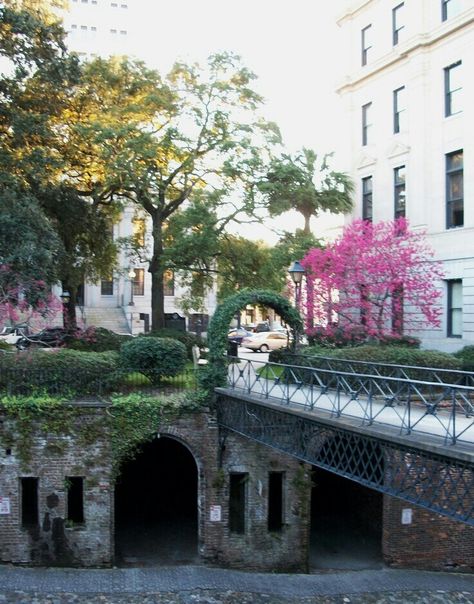 Downtown Savannah.   Old pirate tunnels Savannah Architecture, Georgia Trip, Savannah Art, Savannah Tours, Historic Savannah, Downtown Savannah, Southern Cities, Georgia Travel, Retirement Plan