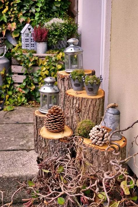 Rustic Outdoor Spaces, Tree Stump Planter, Tree Stumps, Garden Types, Garden Deco, Have Inspiration, Tree Trunks, Tree Stump, Deco Floral