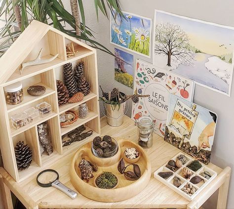 Nature Shelf, Reggio Emilia Classroom, Reggio Inspired Classrooms, Eyfs Classroom, Reggio Classroom, City Parks, Nursery Activities, Shapes Preschool, Fall Preschool