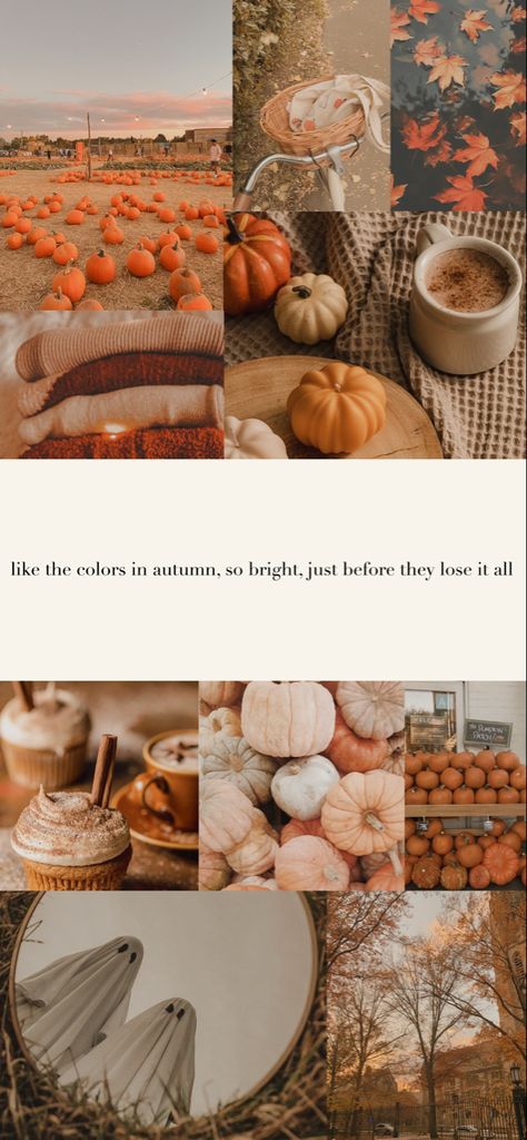 Taylor Swift Thanksgiving Wallpaper, Fall Taylor Swift, Polaroid Wallpaper, Fall Iphone Wallpaper, Autumn Phone Wallpaper, Happy Autumn, Thanksgiving Wallpaper, Flower Wallpapers, Swift Lyrics