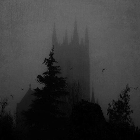 Foggy castle Dark Naturalism, Dark Castle, Foggy Day, Castle Aesthetic, Gothic Aesthetic, Arte Obscura, Fete Anime, Dark Academia Aesthetic, The Fog