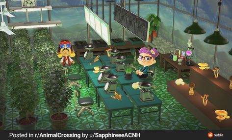 Happy Home Paradise Eclectic Animal Crossing, Animal Crossing Happy Home Paradise Idea, School Animal Crossing Happy Home Paradise, Acnh Ankha Happy Home Paradise, Animal Crossing Happy Home Paradise Roomates, Animal Crossing Happy Home Paradise, Acnh Happy Home Paradise, Acnh Hhp, Happy Home Paradise