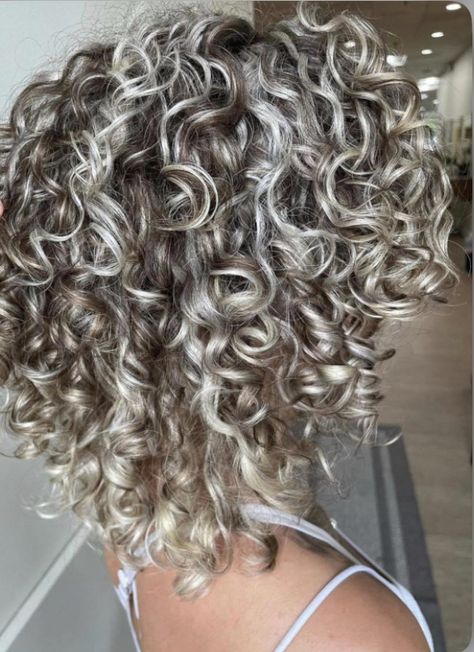 Curl Grey Hair, Grey Blending Highlights Curly Hair, Curly Grey Blonde Hair, 2023 Curly Hair Color Trends, Silver Balayage Curly Hair, Frosted Curly Hair, Grey Hair Color Curly, Grey Highlights In Brown Hair Curly, Curly Ash Hair