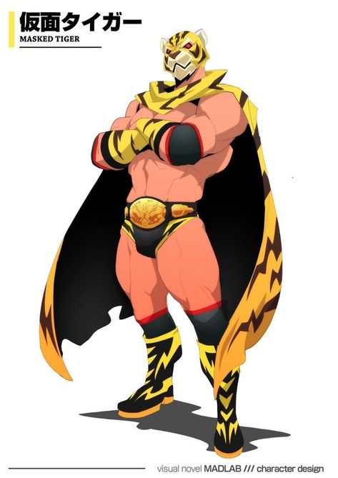 Lucha Libre Character Design, Tiger Mask, Superhero Characters, Superhero Design, Guy Drawing, Character Design Animation, Character Design Male, Cartoon Character Design, Gay Art