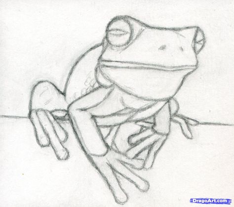 how to draw a realistic frog, white-lipped tree frog step 6 Frog Outline, Draw A Frog, Tree Frog Tattoos, Frog Sketch, Paint Pictures, Draw Realistic, Frog Drawing, Frog Art, Tree Frog