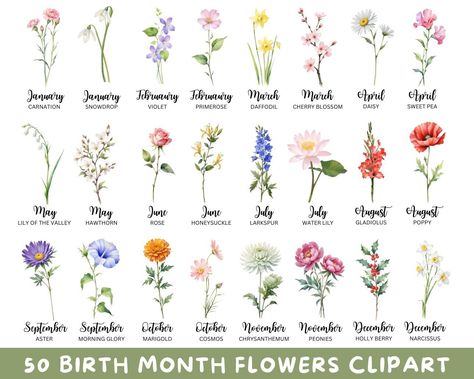 Flower For Birth Month, Month Flowers Birthday, Birth Month Flower Chart, Birth Flowers By Month, Birthday Flowers By Month, March Flower, Hey Sunshine, Birthday Month Flowers, Flower Graphics