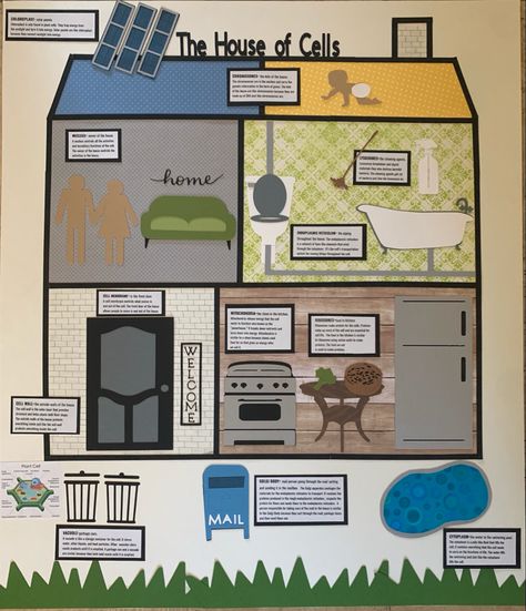 Plant Cell Analogy Project Ideas, Plant Cell City Project Ideas, Cell City Project Ideas Drawing, Cell City Project Ideas, Cell Analogy Project Ideas, Cell Analogy Project, Cell City Project, Cell Analogy, Subway Surfers Download