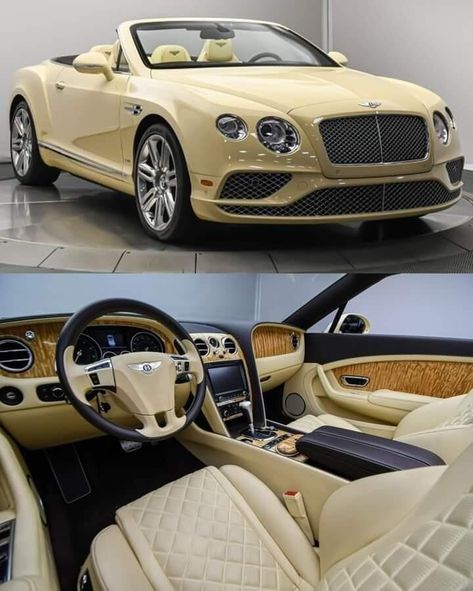 Rolls Royce Coupe, Bentley Sport, Animals Turtle, Turtle Baby, New Luxury Cars, Luxury Car Brands, Top Luxury Cars, High End Cars, Bentley Car