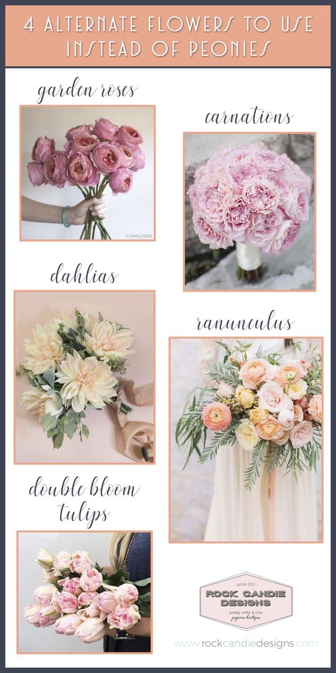 4 alternate flowers to use instead of peonies | different types of wedding flowers to replace peonys | wedding bouquet inspiration Type Of Flowers For Bouquet, Flowers Like Peonies, Flowers Similar To Peonies, Peonies Flower Arrangement Wedding, One Type Of Flower Bouquet, Budget Friendly Flowers For Wedding, Different Types Of Bouquets, Flower Types For Bouquets, Peony Centerpiece Wedding Simple