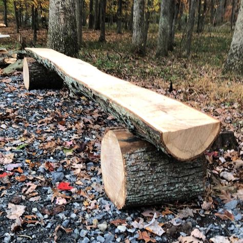 Wood Log Bench Outdoor, Tree Trunk Bench Outdoor Seating, Diy Log Bench Outdoor Seating, Log Bench Ideas, Half Log Bench, Using Logs In Landscaping, Log Benches Outdoor, Cedar Log Projects, Tree Trunk Bench