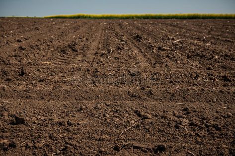 Dirt Aesthetic, Land Texture, Rocks Background, Country Dirt Road, Dirt Texture, Road Texture, Rock Background, Crop Farming, Crop Field