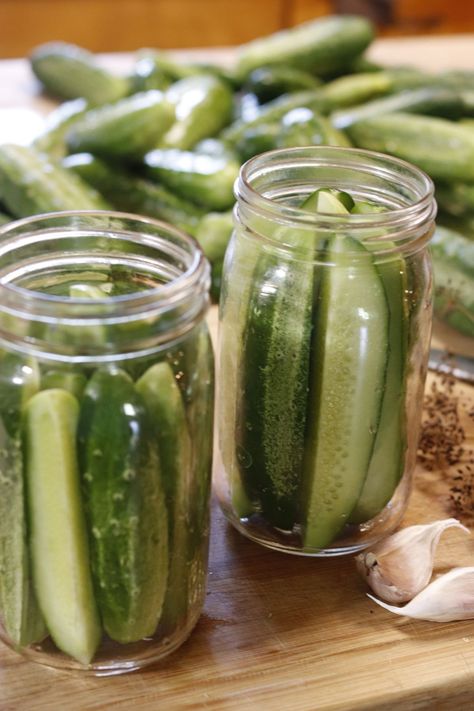 Crunchy Dill Pickle Recipe, Easy Dill Pickle Recipe, Pickle Juice Uses, Homemade Refrigerator Pickles, Refrigerator Dill Pickles, Refrigerator Pickles Dill, Garlic Dill Pickles, Homemade Pickles Dill, Quick Pickles