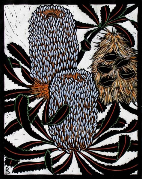 BANKSIA SERRATA  28 X 22 CM EDITION OF 50  HAND COLOURED LINOCUT ON HANDMADE JAPANESE PAPER  $600 Australian Wildflowers, Linocut Printmaking, Australian Flowers, Australian Native Flowers, Native Flowers, Linocut Art, Australian Birds, Australian Art, Botanical Drawings