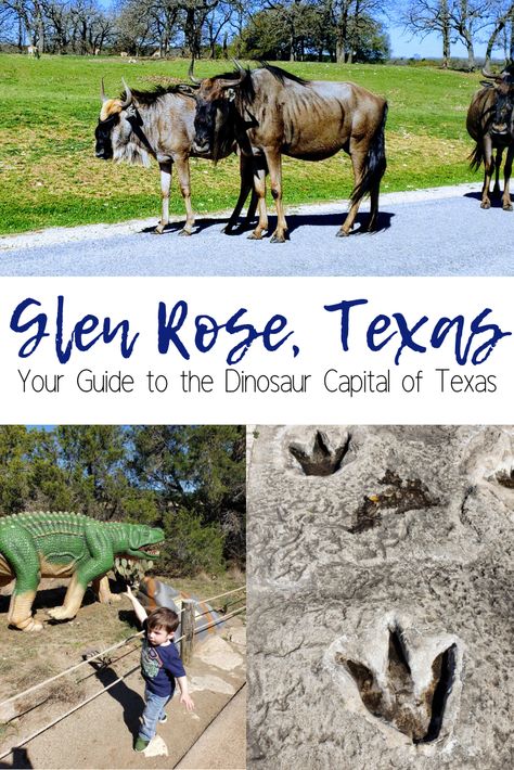 Glen Rose Texas Dinosaurs, Glen Rose Texas, Dinosaur Valley State Park, Texas Trip, Texas Adventure, Glen Rose, Travel Texas, Visit Texas, Texas Places