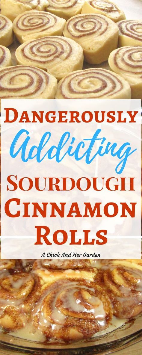 Indulgent Recipes, Sourdough Breads, Sourdough Cinnamon Rolls, When She Says, Dough Starter, Cinnamon Roll Recipe, Sourdough Starter Discard Recipe, Bread Starter, Sourdough Starter Recipe