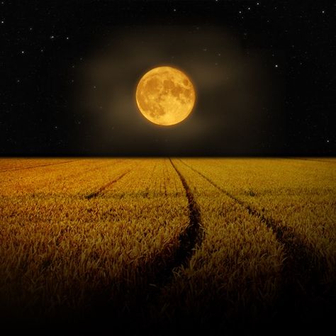 Corn Moon, Autumnal Equinox, Harvest Moon, Mystery Thriller, Working Late, Short Story, Stars And Moon, Full Moon, Short Stories