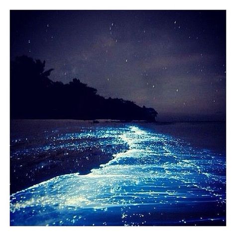 phosphorescence in the ocean | phosphorescent sea Costa Rica Bioluminescent, Sea Of Stars, Plane Ticket, Pamukkale, Travelling Tips, Caribbean Blue, Destination Voyage, Sendai, Natural Phenomena