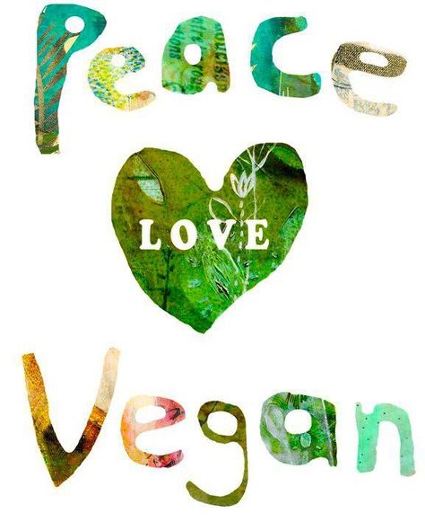 Food Quiz, Vegan Memes, Vegan Quotes, Why Vegan, Vegan Inspiration, Vegan Living, Vegan Animals, Vegan Life, Vegan Lifestyle