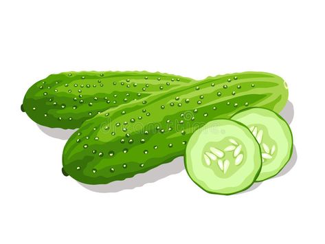 Cucumber Slice Illustration, Cucumber Clipart, Cucumber Drawing, Cucumber Cartoon, Cucumber Illustration, Breakfast Vegetables, Growing Garden, Cartoon Food, Hamster Cages