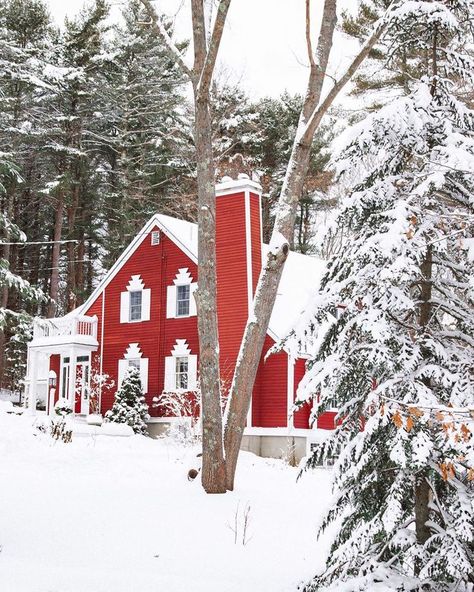 England Aesthetic Wallpaper, Maine Christmas, New England Christmas, Maine Homes, Maine Winter, Preppy Holiday, House In The Forest, New England Aesthetic, Winter Christmas Scenes