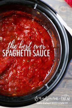 Best Ever Spaghetti, Spaghetti Sauces, Savoury Sauces, Slow Cooker Spaghetti Sauce, Crockpot Spaghetti, Homemade Marinara Sauce, Slow Cooker Spaghetti, Red Sauce Pasta, Pasta Sauce Homemade