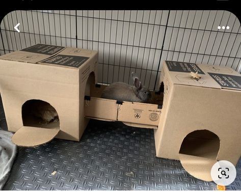 Diy Bunny House Cardboard, Bunny Diy Cage, Rabbit Ideas Diy, Diy Bunny Accessories, Diy Rabbit House Cardboard, Cardboard House For Rabbits, Diy Bunny Furniture, Bunny Box Diy, Bunny Hideout Diy Cardboard