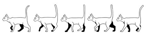 Cat Run Cycle, Cat Walk Cycle, Walk Cycle Reference, Animation Cycle, Animation Walk Cycle, Running Drawing, Cycle Drawing, Cat Animation, Walking Animation