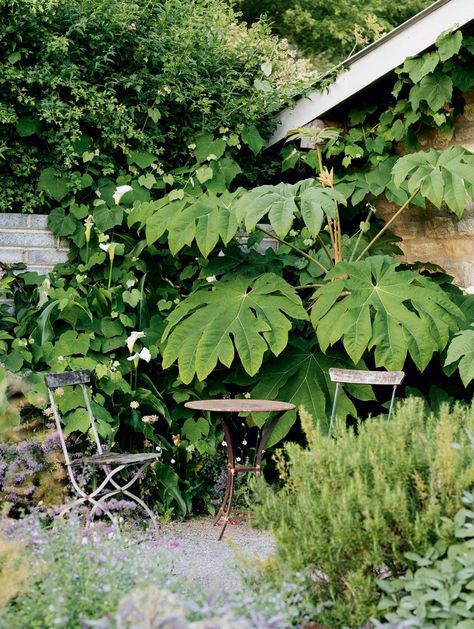 Dan Pearson takes us on a tour of his wild, beautiful Somerset garden at the culmination of the growing season | House & Garden New Perennial Garden, Garden Natural Design, Hay Meadow, Lower Bed, Dan Pearson, Scandinavian Garden, Naturalistic Garden, Shade Garden Design, Evergreen Garden