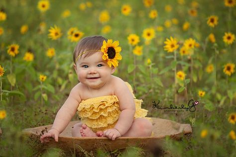 Kimberly G photography  Love sunflowers!! Sunflower Photo Shoot, Sunflower Mini Session, Sunflower Field Photography, Sunflower Field Pictures, Sunflower Photography, Sunflower Photo, Sunflower Pictures, Toddler Photography, Sunflower Field