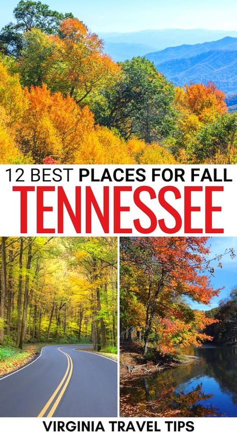 Fall In Tennessee, Tennessee Family Vacation, Things To Do In Tennessee, Tennessee Fall, Nashville Fall, Visit Tennessee, Fall Foliage Road Trips, Smokey Mountains National Park, Nashville Vacation