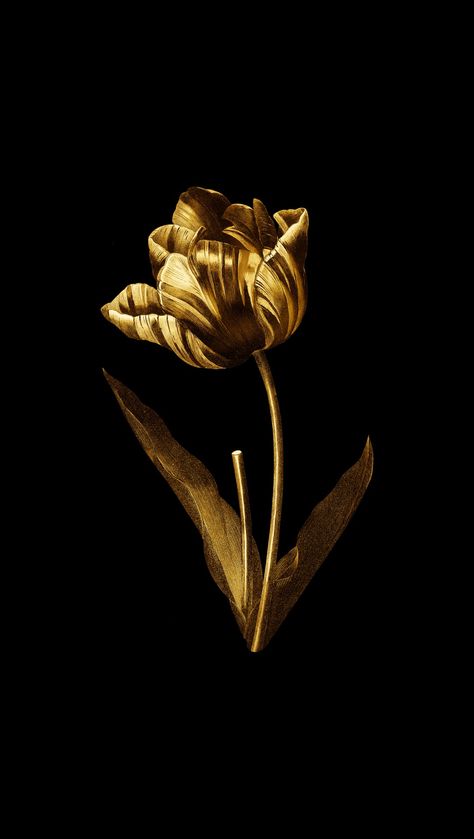 Tulip Photography, Black And Gold Aesthetic, Gold Wallpaper Iphone, Letter Art Design, Minimalist Icons, Ebook Design, Gold Lotus, Beauty Logo Design, Ariana Grande Pictures