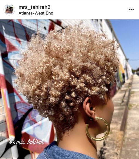 Women’s Tapered Haircut, Dyed Short Natural Hair, Fro Hawk, Kym Whitley, Grey Hair Journey, Natural Hair Haircuts, Blonde Natural Hair, Tapered Natural Hair, Natural Hair Cuts