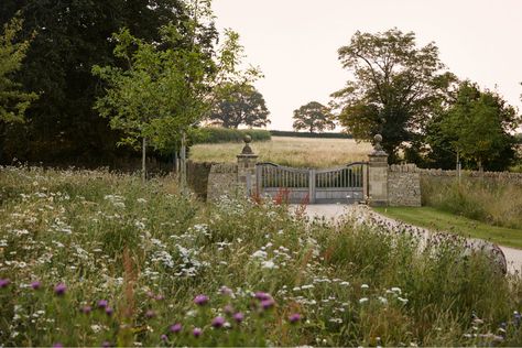 A Farmhouse in Oxfordshire - Ben Pentreath Ltd Orchard Driveway, Country Driveway, Heart Landscape, Meadow Wildflowers, Wildflower Border, Irish Farmhouse, Landscape Meadow, Farm Entrance, Senior Design