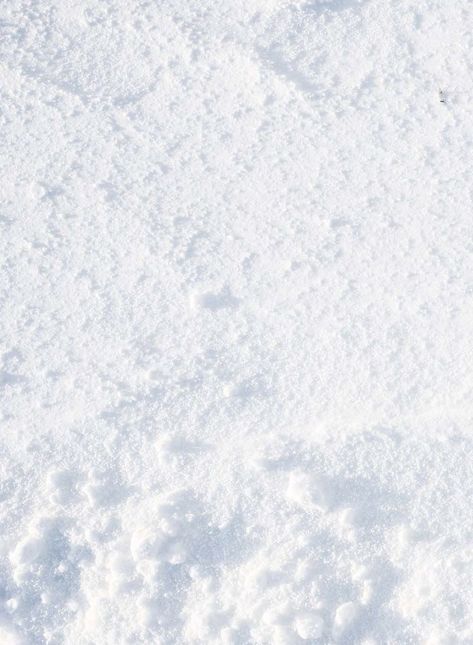 Cool White Backgrounds, Winter Texture, Snow Background, Snow Texture, Ice Cooler, Forest Background, Winter Background, Snow And Ice, White Backdrop