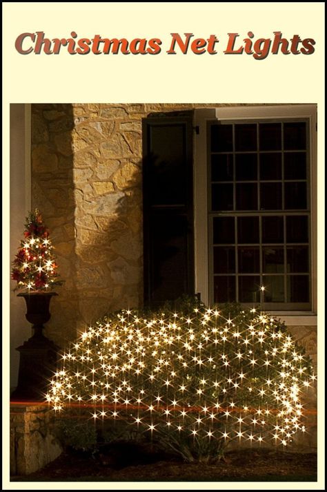 We use Christmas net lights on the shrubbery in front of our house. The lights that I am using now are 6.6 feet wide and almost 10 feet long so I can cover quite a large area. This is so much easier than stringing lights around and around the shrubs. Country Christmas Decorating Ideas, Christmas Decorations Yard, Christmas Net Lights, Outdoor Christmas Decorations Yard, Decorating The Christmas Tree, Santa Ideas, Net Lights, Wooden Reindeer, Holiday Party Games