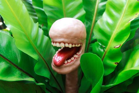 Creepy Plant: Halloween Craft Man Eating Plant, Plant Diy, Man Eating, Little Shop Of Horrors, Halloween Craft, Carnivorous Plants, Diy Plants, Red Paint, Paper Mache