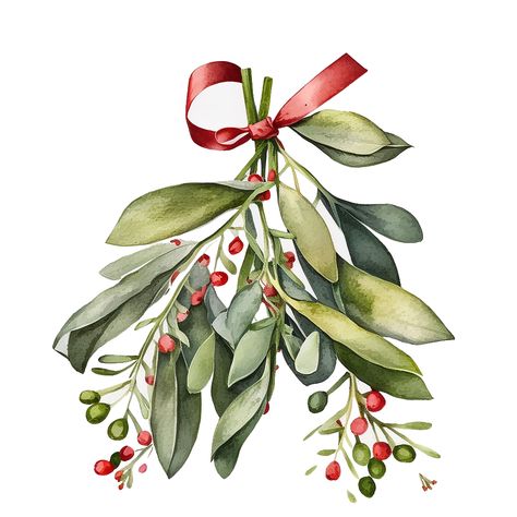 Introducing the perfect addition to your holiday-themed crafting projects - our Mistletoe Clipart! This digital clipart set is designed to make your Christmas projects come to life. The pack includes various mistletoe designs, all created using stunning watercolor painting techniques. Our Mistletoe Clipart is perfect for digital crafting, scrapbook images, wall art, and printable art. The high-resolution digital downloads ensure that your final project will be of the best quality possible. The p Mistletoe Christmas Card, Christmas Painting Watercolor, Mistletoe Painting, Mistletoe Clipart, Mistletoe Watercolor, Watercolor Studies, Watercolor Mistletoe, Mistle Toe, Christmas Card Designs