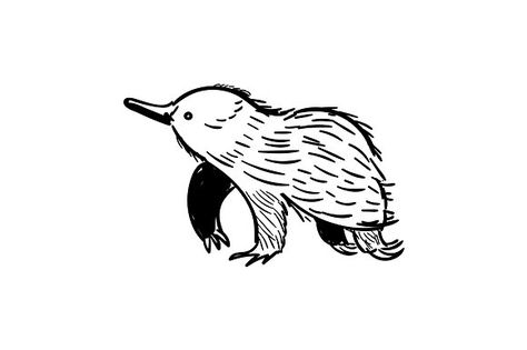 Handdrawn Echidna icon Graphics Echidna icon in doodle style. Logotype for business. Vector illustration. by Maria Averburg Studio Echidna Illustration, Echidna Tattoo, Echidna Drawing, Kc Tattoo, Zoo Logo, Tree Sleeve, Bee Tattoos, Wine Bottle Label Design, Spirit Tattoo