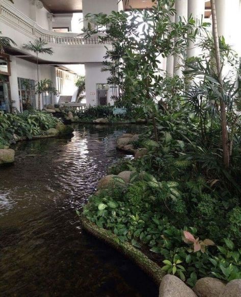 Indoor Pond, Plant Aesthetic, Fish Ponds, Ponds Backyard, Greenhouses, Pretty Places, Green Aesthetic, Water Garden, Ponds