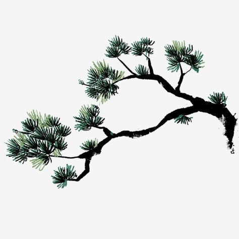 Pine Trees Drawing, Pine Tree Illustration, Pine Tree Clipart, Japanese Trees, Cranes In The Sky, Chinese Tree, Pine Tree Drawing, Chinese Painting Flowers, Chinese Plants