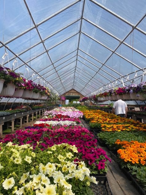 Flower Farm Greenhouse, Geodesic Dome Greenhouse, Garden Diy On A Budget, Cottage Garden Design, Market Garden, Cut Flower Garden, Veg Garden, Garden Nursery, Greenhouse Gardening