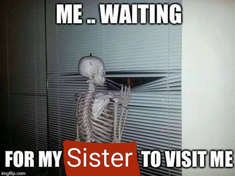 waiting for my sister to visit me humor skeleton looking out window Waiting Meme, Sister Meme, Me Waiting, Sister Love Quotes, Love My Sister, Brother Quotes, Sister Photos, Sister Quotes, Sister Love