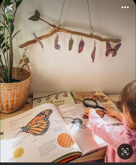 Cycle Of Butterfly Preschool, Montessori Butterfly Unit, Montessori Decoration Ideas, Kindergarten Projects Ideas, Butterfly Provocations, Preschool Butterfly Life Cycle, Butterfly Project Ideas, Butterfly Activities For Preschool, Butterfly Kindergarten