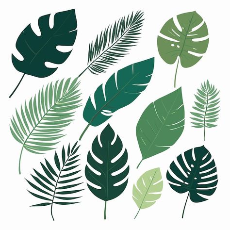 Exotic leaves tropical leaf collection v... | Premium Vector #Freepik #vector #tropical #flat #plants #plant Plants Vector, Leaf Collection, Illustration Botanical, Leaf Silhouette, Plant Vector, Tropical Leaf, Tropical Leaves, Tropical Plants, Botanical Art