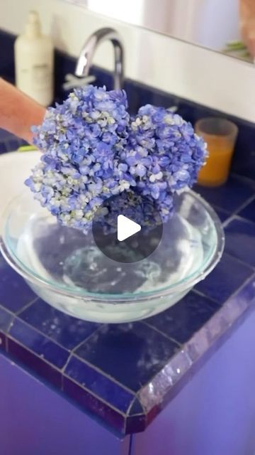 FTD Flowers on Instagram: "Our favorite hydrangea tip 💐#bluehydrangea #bluhydrangea #hydrangeas #hydrangeaflowers #flowerhack #flowers #homedecor #flowertips" Ftd Flowers, Blue Hydrangea, Hydrangea, Plants, Flowers, On Instagram, Instagram