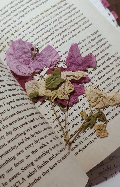 Flowers In Books, Books About Flowers, The Art Of Letting Go, 15th Birthday Party Ideas, Creative Snaps For Snapchat, Flower Journal, Best Instagram Feeds, Art Of Letting Go, Art Tutorials Watercolor