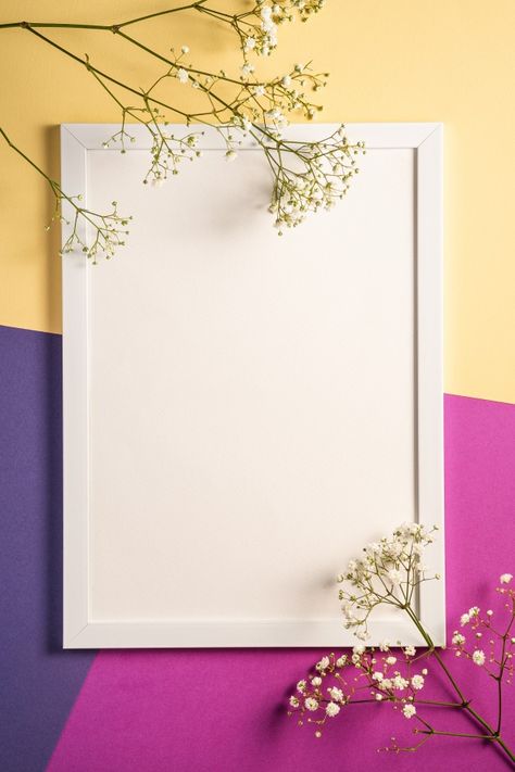 White Flower Wallpaper, White Picture Frame, Flower Background Design, Colorful Stationery, Photo Frame Wallpaper, Old Picture Frames, Picture Frame Shelves, Colorful Frames, Photo Frame Design