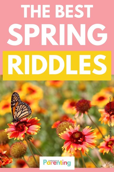 175 Fun and Challenging Spring Riddles [Free Riddle Cards] Easter Riddles, Riddle Of The Day, Pogo Stick, Spring Quotes, Card Sayings, How Many Kids, Creative Stuff, Spring Theme, Spring Has Sprung